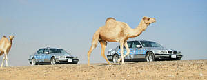 BMW 750hl in Dubai auf der Clean Energy World Tour