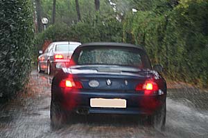 Fahrt �ber die Insel Albarella bei Regen und Sturm