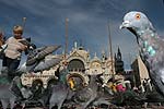 auf dem Markusplatz in Venedig