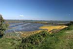 Landschaft vor Albarella