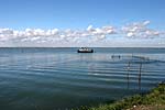 Blick vom Albarella-Damm nach S�den