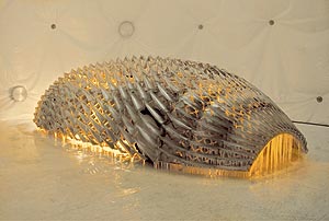 Your mobile expectations: BMW H2R Projekt, 16. BMW Art Car, K�nstler: Olafur Eliasson, Fotografin: Anna Sofie Hartmann